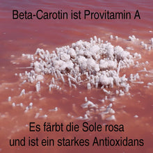 Laden Sie das Bild in den Galerie-Viewer, SIVASH-Heilerde Medizinprodukt (1kg/3kg/5kg) - Peloid (Heilschlamm, Meeresschlick) zur äußerlichen Anwendung